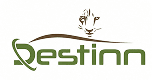 Destinn logo
